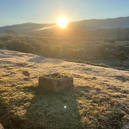 Quinta Dos Cedros L Turismo Rural コビリャン エクステリア 写真