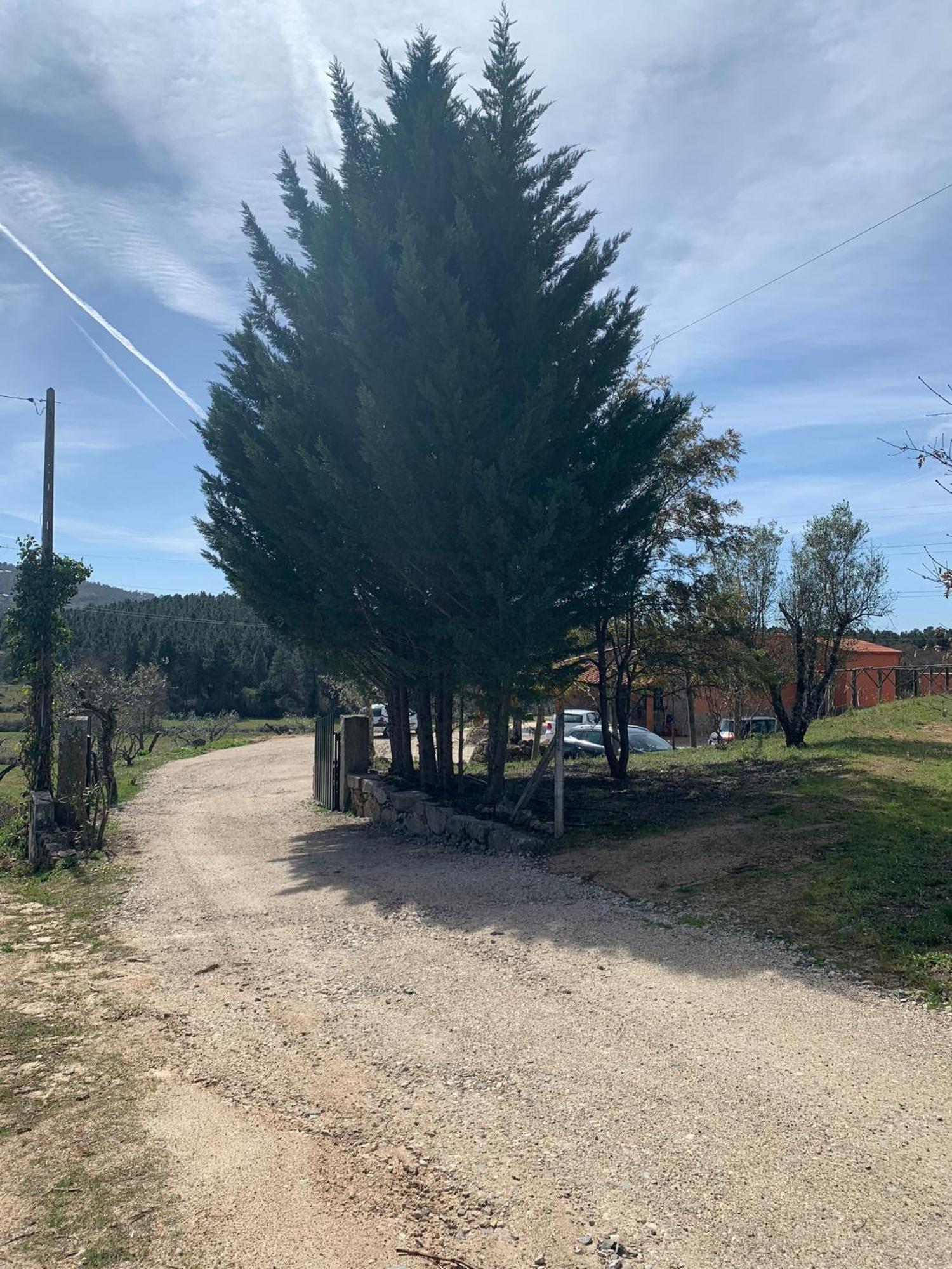 Quinta Dos Cedros L Turismo Rural コビリャン エクステリア 写真