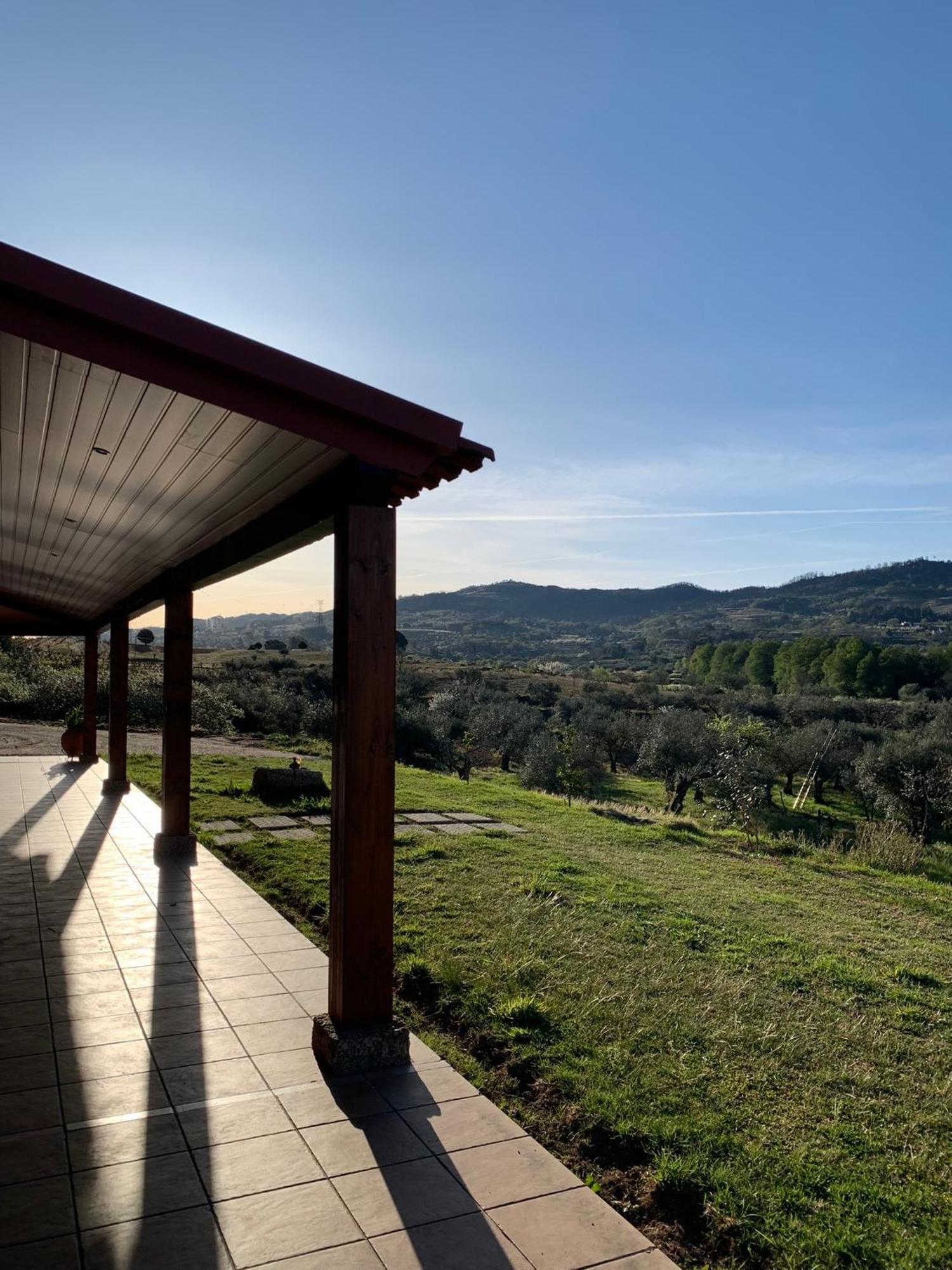 Quinta Dos Cedros L Turismo Rural コビリャン エクステリア 写真