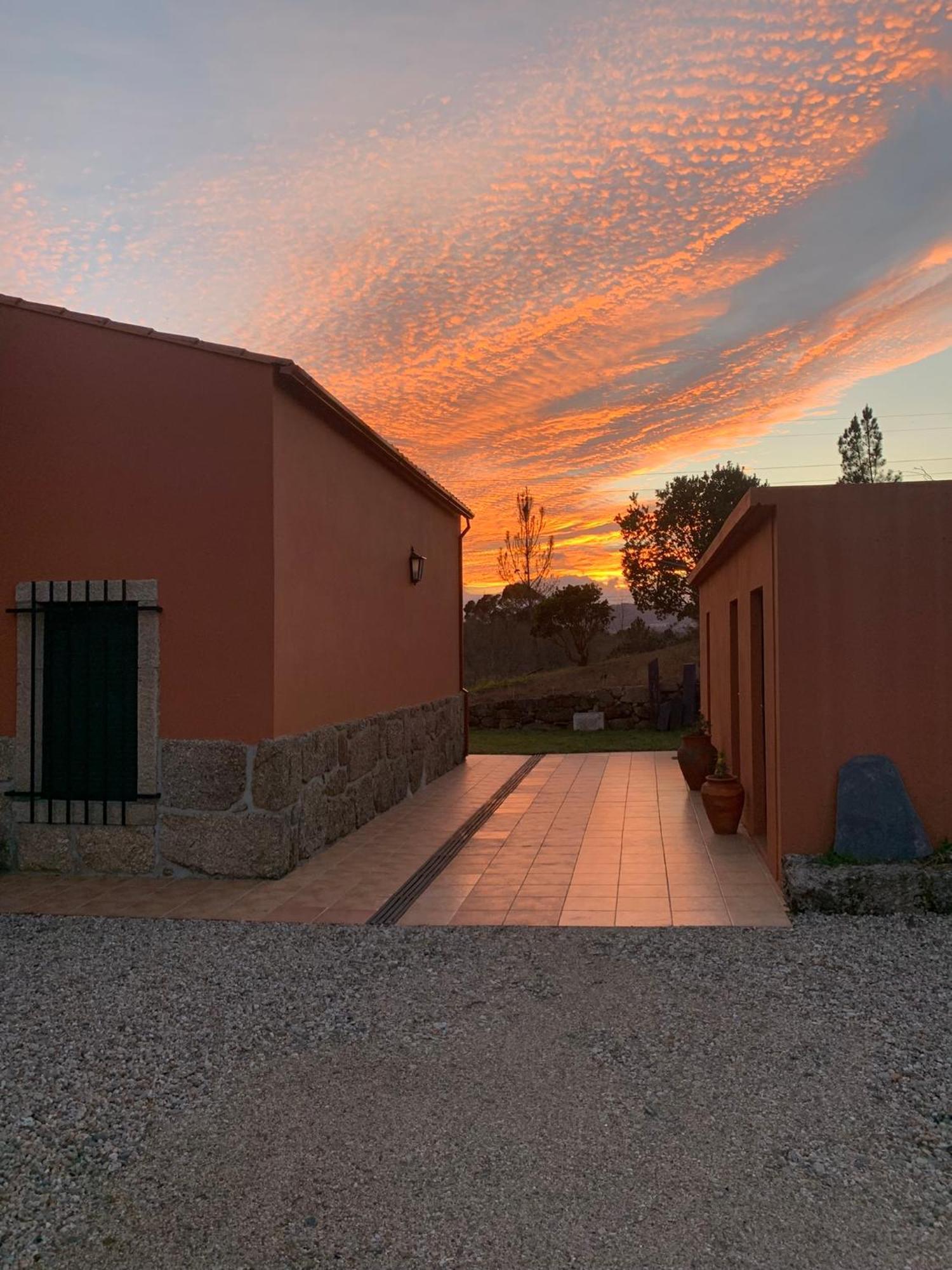 Quinta Dos Cedros L Turismo Rural コビリャン エクステリア 写真