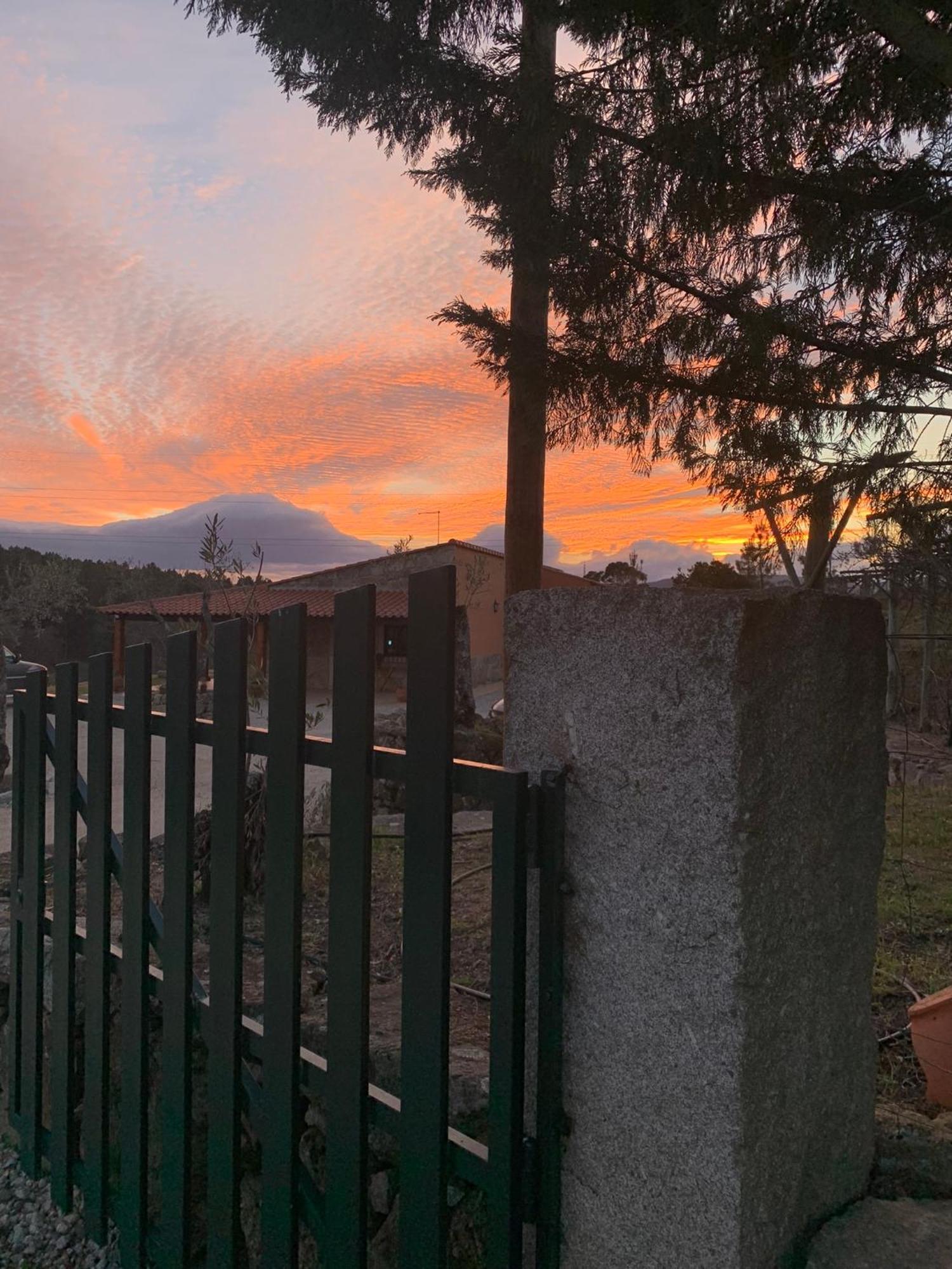 Quinta Dos Cedros L Turismo Rural コビリャン エクステリア 写真